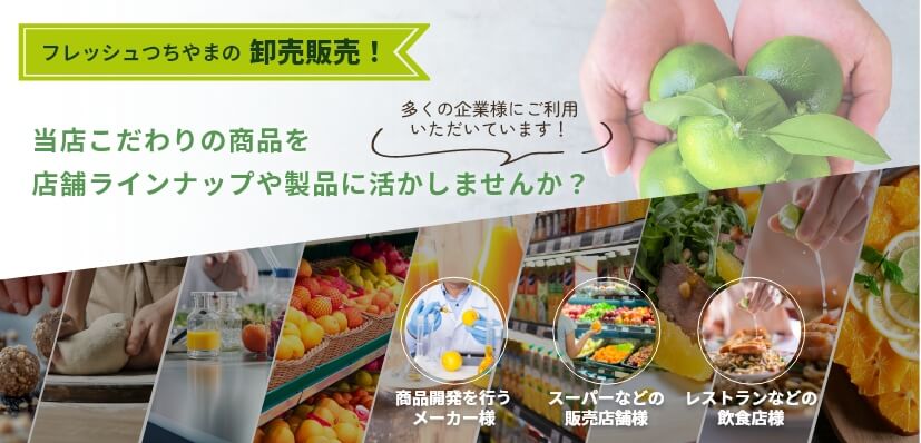 株式会社フレッシュつちやま / ファミリーセット（1月中旬～5月）