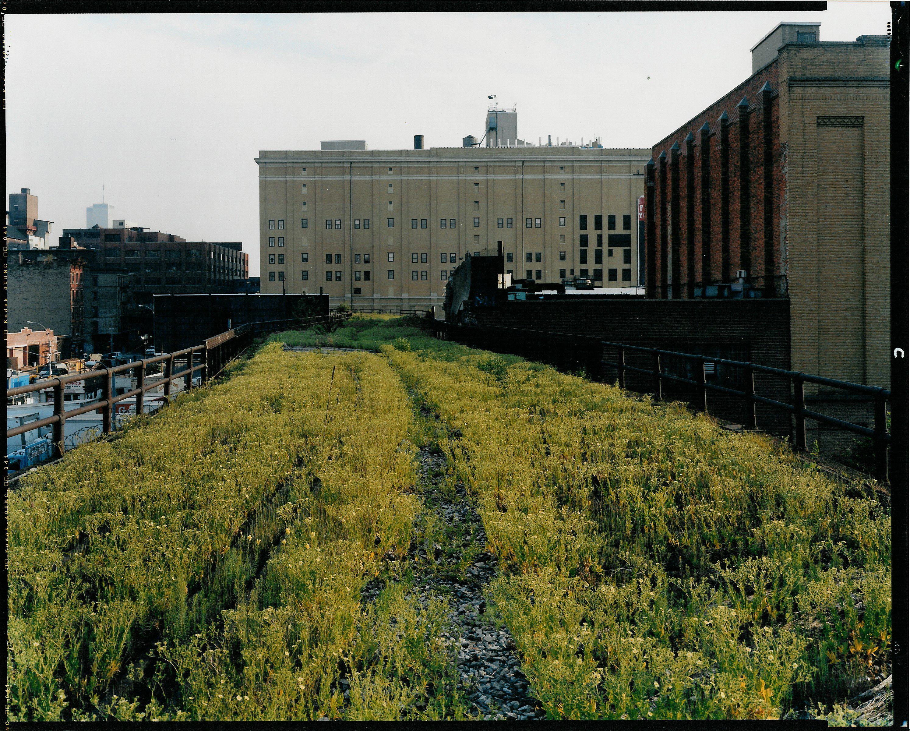 Walking the High Line with Joel Sternfeld | High Line Blog