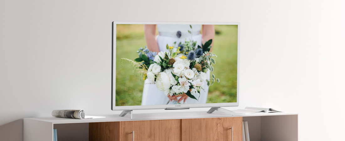 Funai ハードディスク内蔵 24V型 テレビ フナイ FUNAI 24V型 TV 液晶