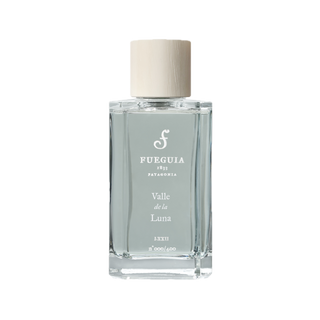 FUEGUIA 1833 | Gallerist Comments | Valle de la Luna｜バジェ デ ラ