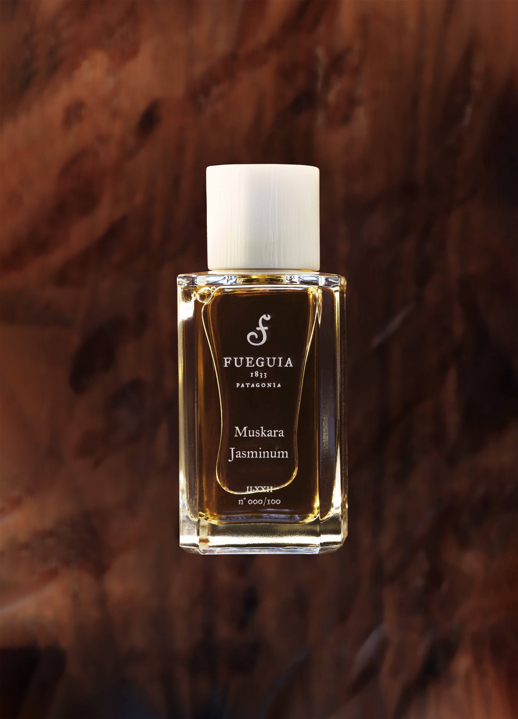 FUEGUIA 1833 | Bitácora de Composición - II-XXIV｜ビタコラ デ コン