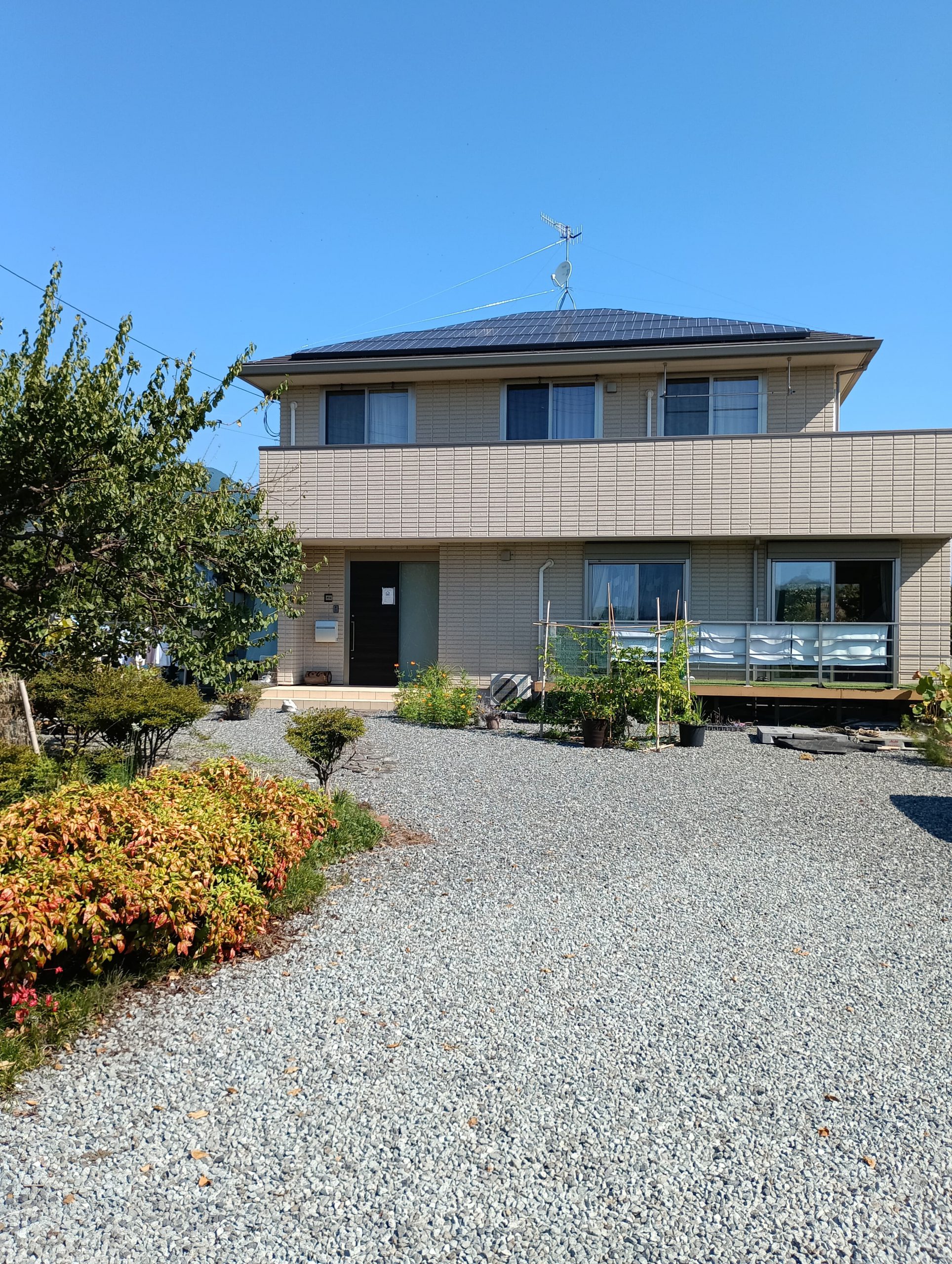 ていし八 : 富士宮市観光協会