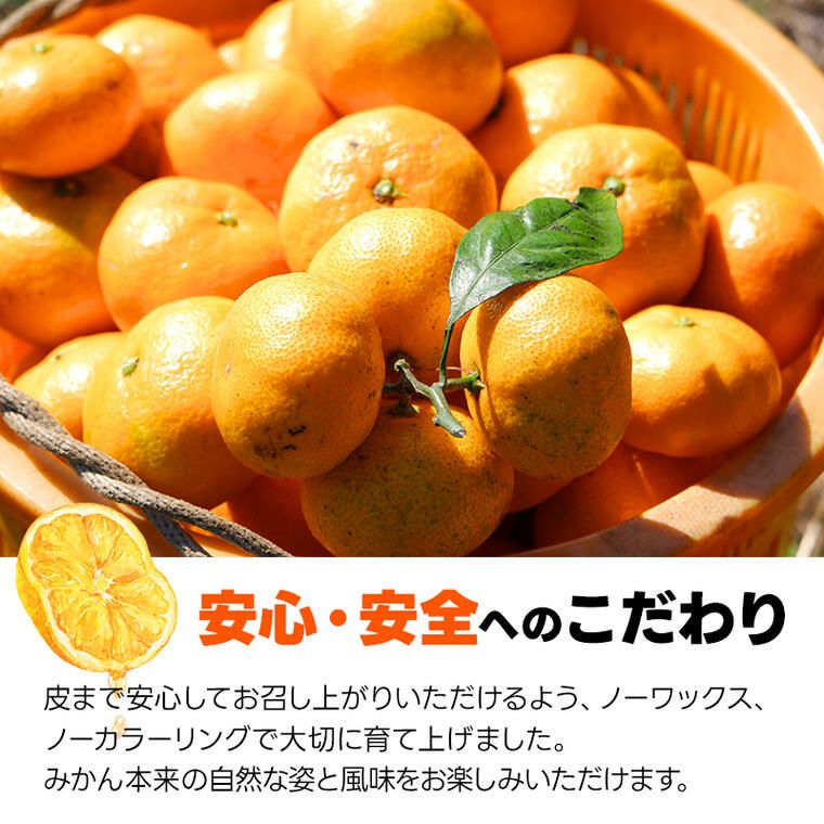 和歌山県有田産 六川の恵みかん ゆら早生他 自社の無地段ボール箱にお