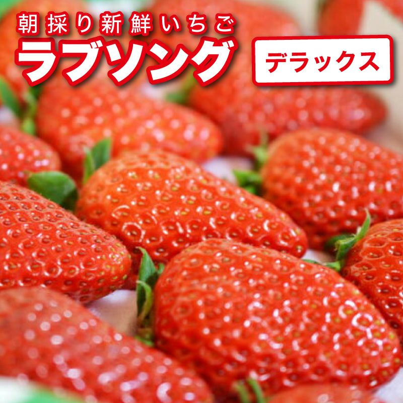 いちご ラブソング（紅ほっぺ）デラックス DXサイズx2トレイ【送料