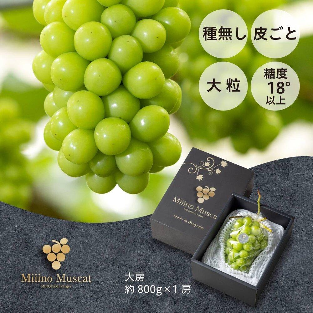 シャイン マスカット 2026年 「MiiinoMuscat」1房（約800g