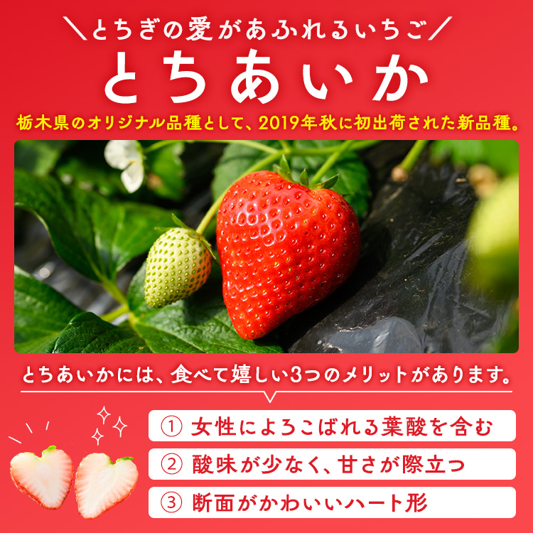 いちご（とちあいか） 290g×4パック 1.16kg以上｜先行予約 数量限定
