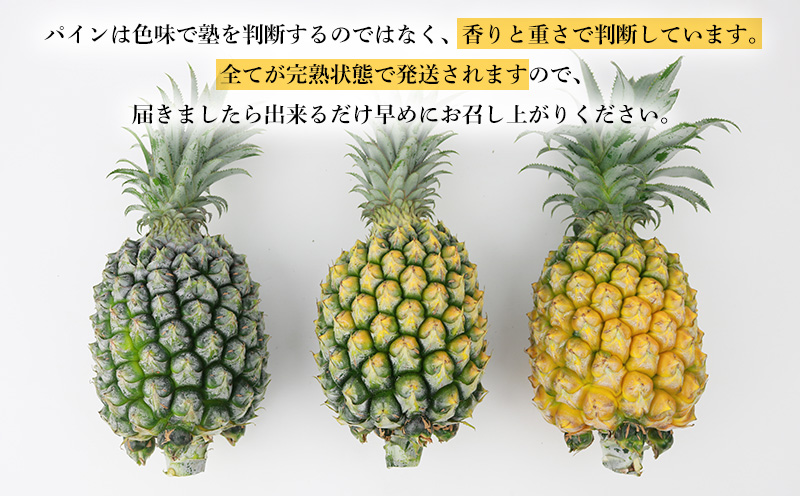 2026年発送【数量限定】ひとくちぼれ 金武町のすぐりむん（極上