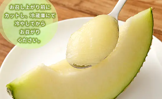 徳之島 天城町 吉川果樹園 アールスメロン 3Lサイズ 2玉 メロン マスク