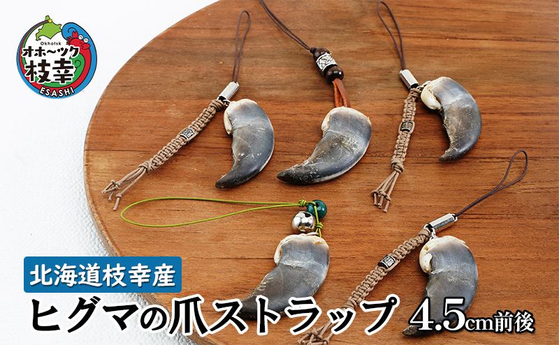 北海道枝幸産 ヒグマの爪ストラップ 4.5cm前後 くま 熊 ヒグマ 羆