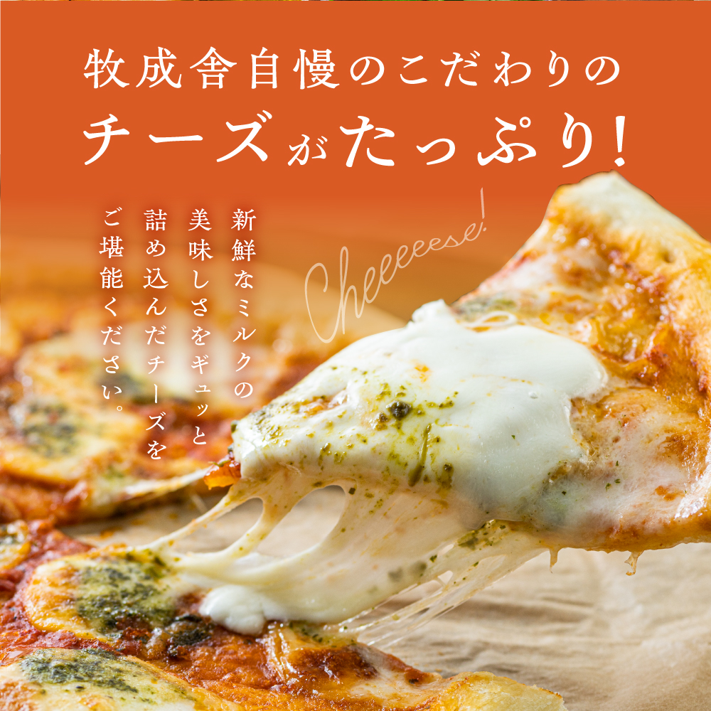 マツコの知らない世界】で紹介されました！飛騨のチーズたっぷりピザ