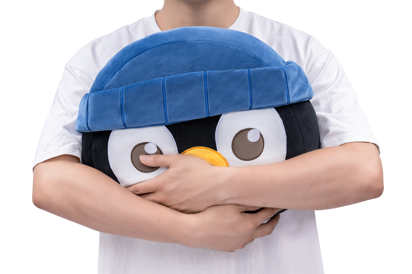 VALORANT ペンギンのダン クッション – FUTAROKU