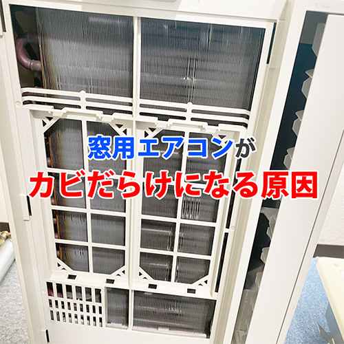 エアコンクリーニング【作業実績50万件】口コミNo1を3冠獲得