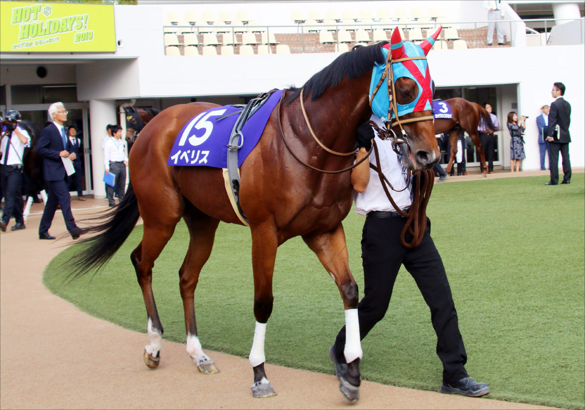 JRA 「2000万馬券」の衝撃から6年……。ヴィクトリアマイル（G1）「18番