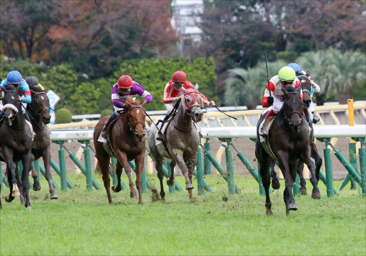 JRA 「2000万馬券」の衝撃から6年……。ヴィクトリアマイル（G1）「18番