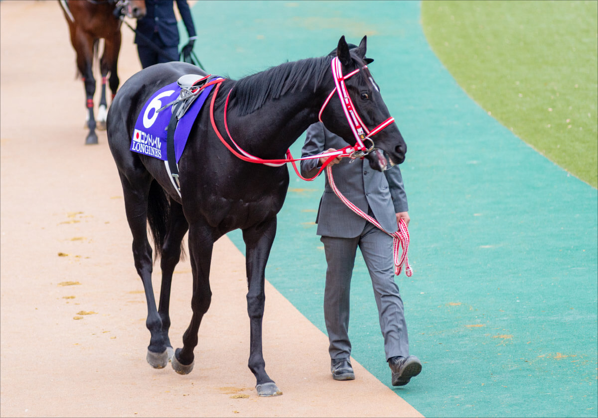 JRA ジャパンC（G1）コントレイル「全部勝つ」から「名誉を守る」へ