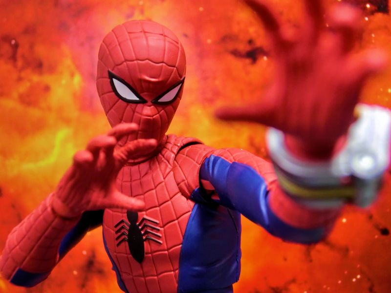 玩栗犬と、S.H.フィギュアーツ スパイダーマン（東映版） | 玩栗犬 真