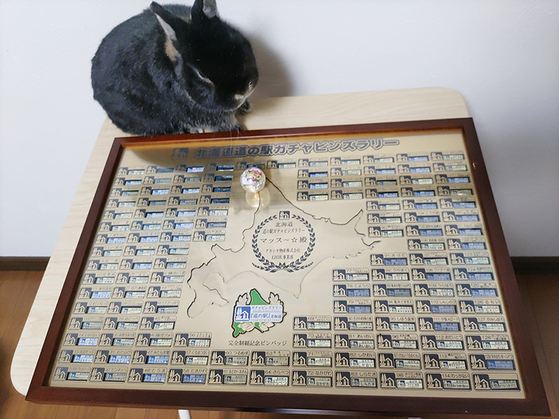 北海道版 ガチャピンズラリー 2024年度達成者一覧｜ 道の駅 ガチャピン