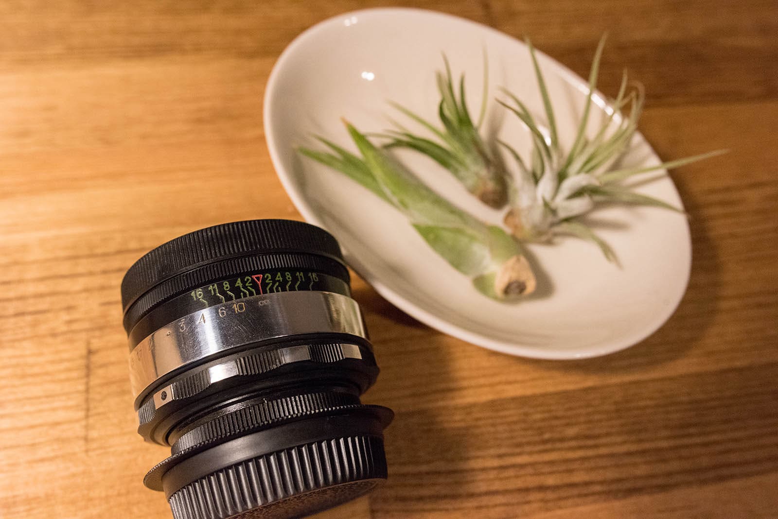 ぐるぐるボケが魅力のオールドレンズ『HELIOS 44-2 2/58』レビューと作例