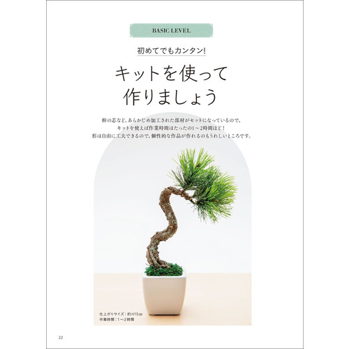 はじめてのクラフト盆栽|日本クラフト盆栽作家協会(著)|ショップ学研＋