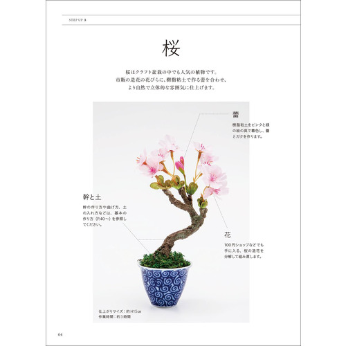 はじめてのクラフト盆栽|日本クラフト盆栽作家協会(著)|ショップ学研＋