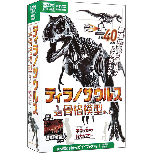 科学と学習PRESENTS|ティラノサウルス1／35骨格模型キット