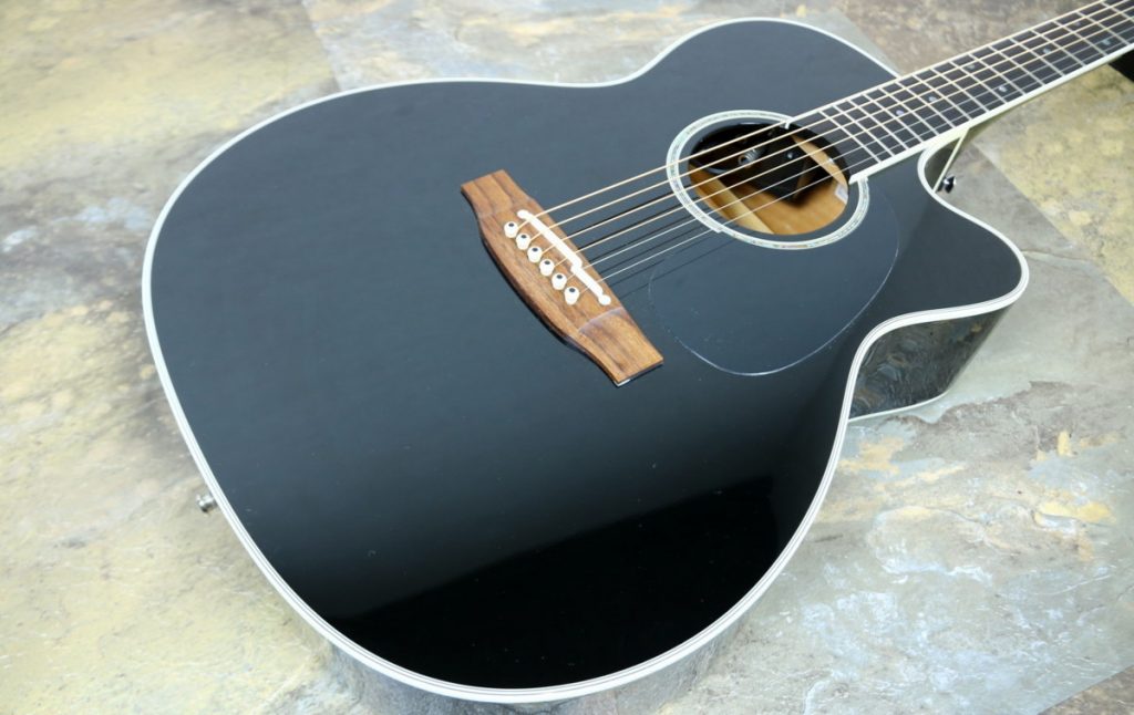 Takamine/タカミネ アコースティックギター/アコギ/エレアコ DMP751C