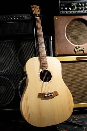 Cole Clark FL1E-BM 2021 アコースティックギター エレアコ コール