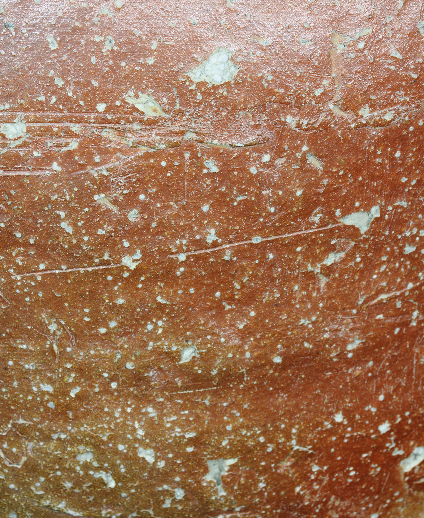 1. 信楽大壺 | やきものの常識は疑いやきものを信じよ！ | ギャラリーラボ