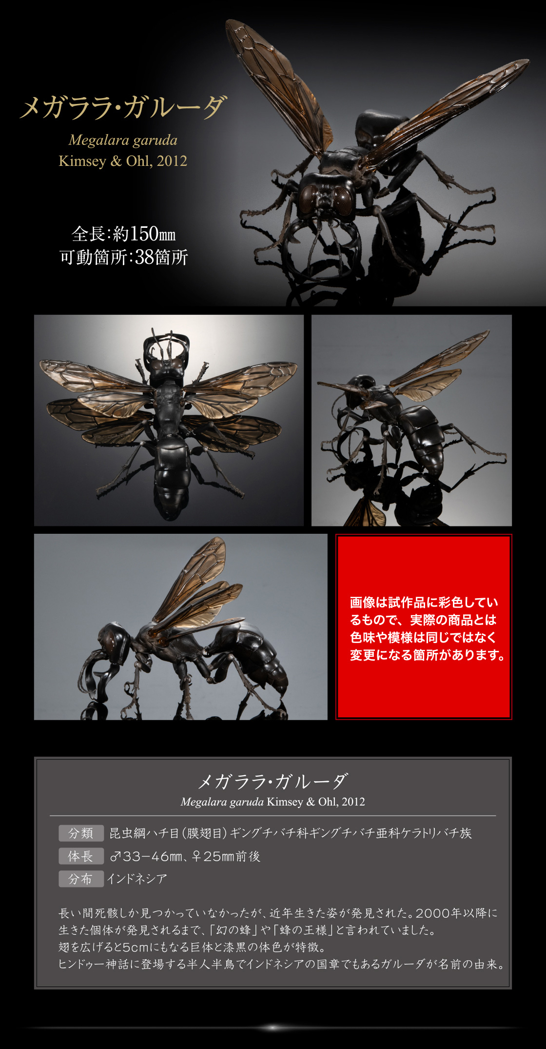 いきもの大図鑑アドバンス スズメバチ｜いきもの大図鑑｜ガシャポン