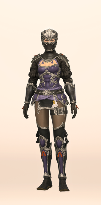 Ninja Set | Eorzea Collection