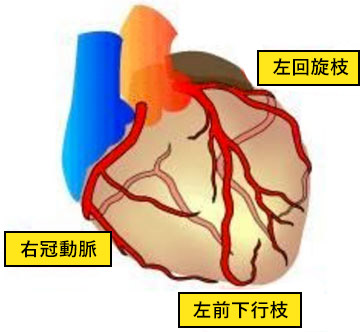 冠動脈疾患 | 久留米大学医学部外科学講座