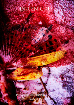 薫（DIR EN GREY）、個展