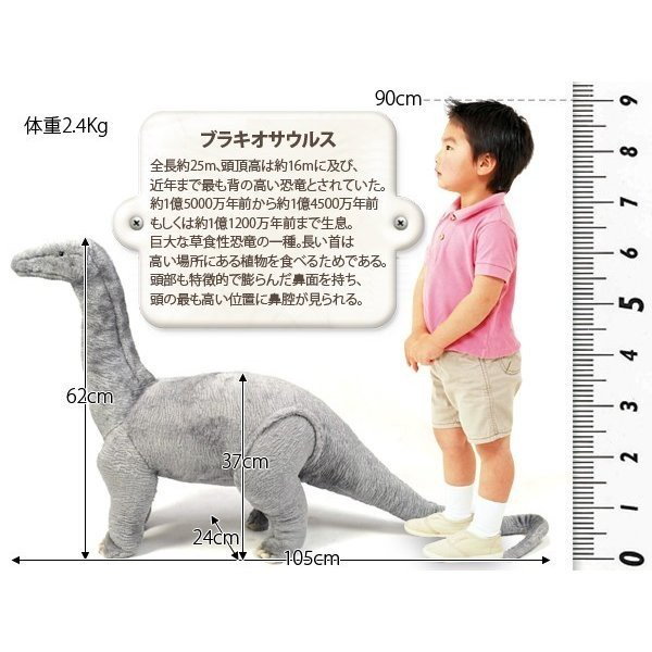 Qoo10] 座れる恐竜 座れる ぬいぐるみ 恐竜 チ