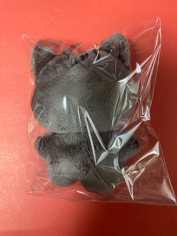 Qoo10] NewJeans ヘリン マスターニム