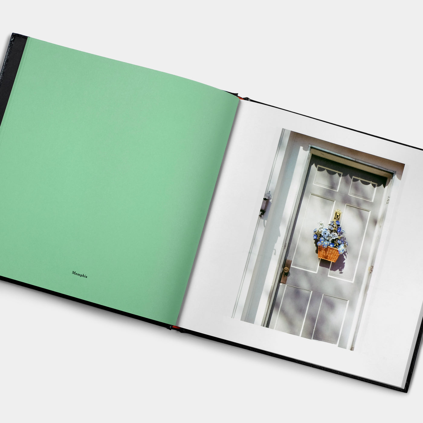 William Eggleston's Guide – Gift Horse