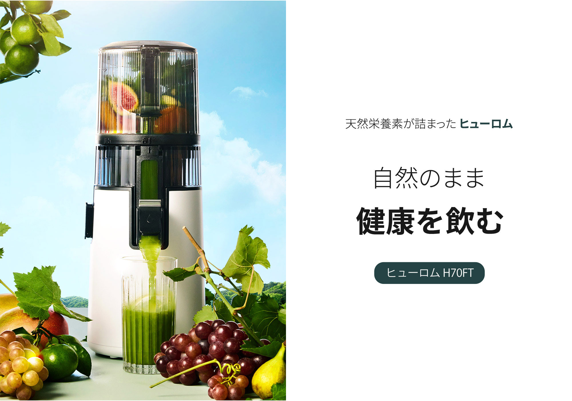 ヒューロムスロージューサー H70FT 1台 HUROM hurom