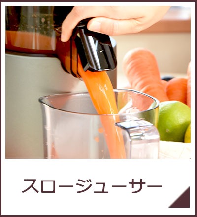 搾汁ギヤ 2本セット【エンジェルジューサー AG7500部品】