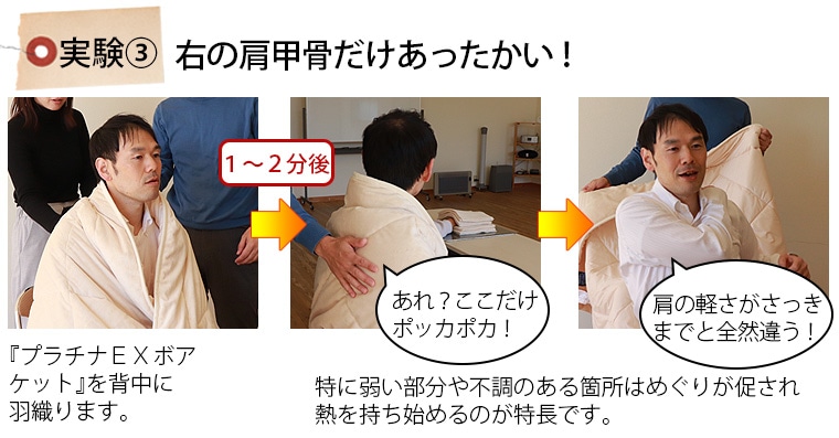 プラチナウェーブ 葵シングルセット｜トータルヘルスデザイン公式