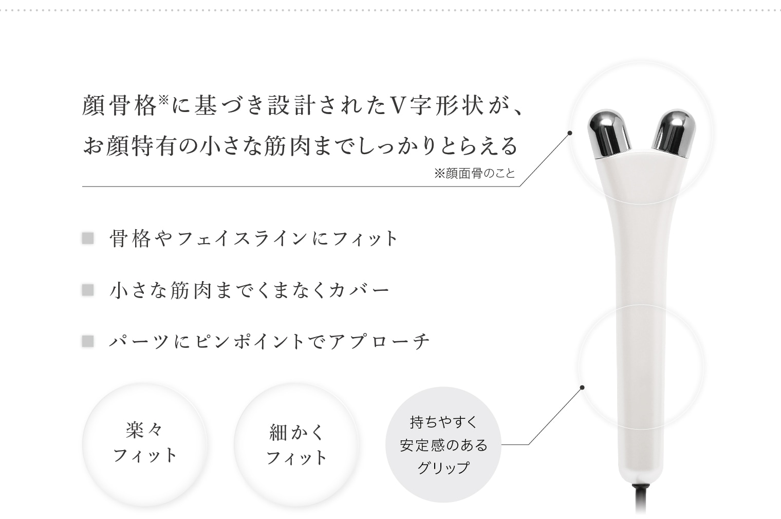 Vスティック（ブイ スティック） | すべて | リッコーオンラインショップ