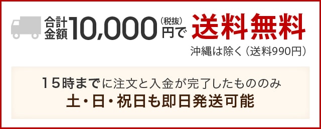 RUGBY / ラルフローレン ラグビー 「PLAYING CARDS」 トランプ