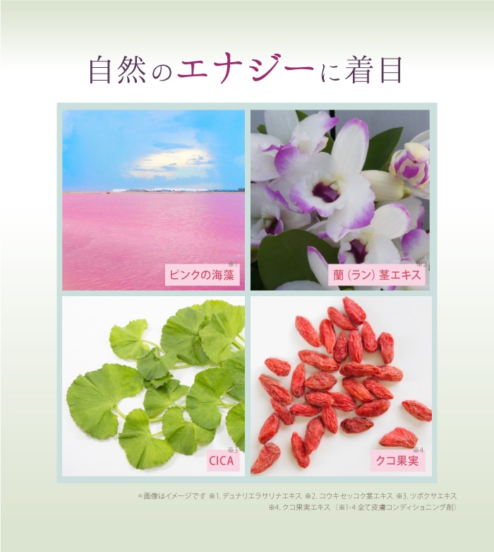 サイムダン プレミアム ファーストクラス パーフェクト Rich クリーム