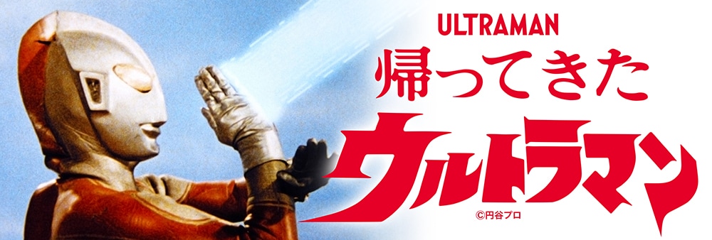 墓場の画廊限定】【ソフビ】【MAX TOY】サドラ/MAXTOY マックストイ