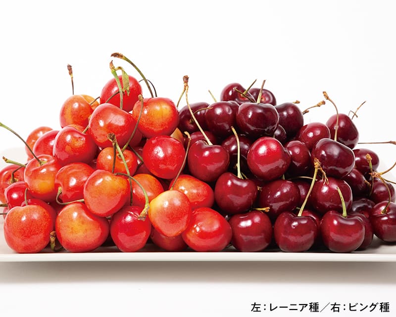 アメリカンチェリー｜ホップスモール公式通販(阪急交通社グループ)