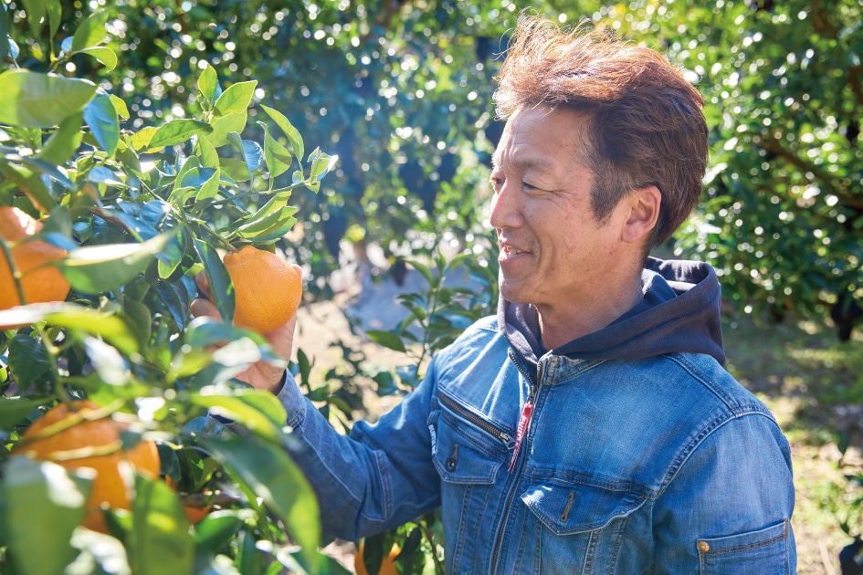 暖かなリアス式海岸で育てられた内瀬デコ- 近鉄 いろどりモール【公式】