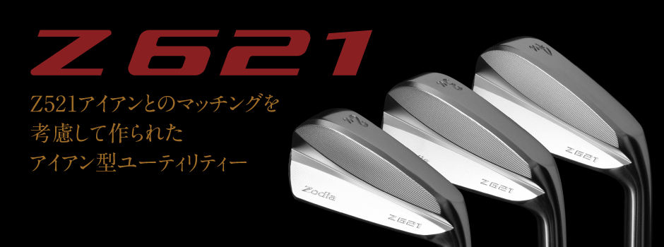 Z621_main.png