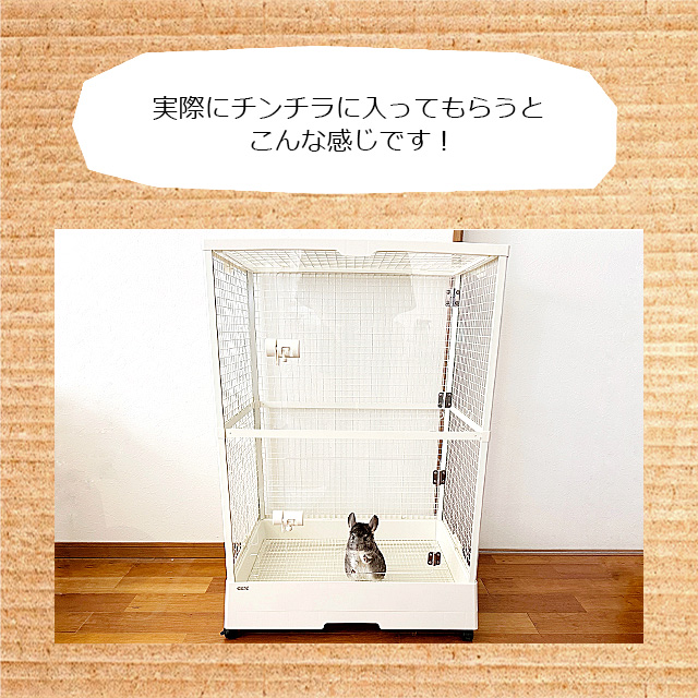 チンチラの金網じゃないケージ！ GEX クリアフロント70High チンチラに