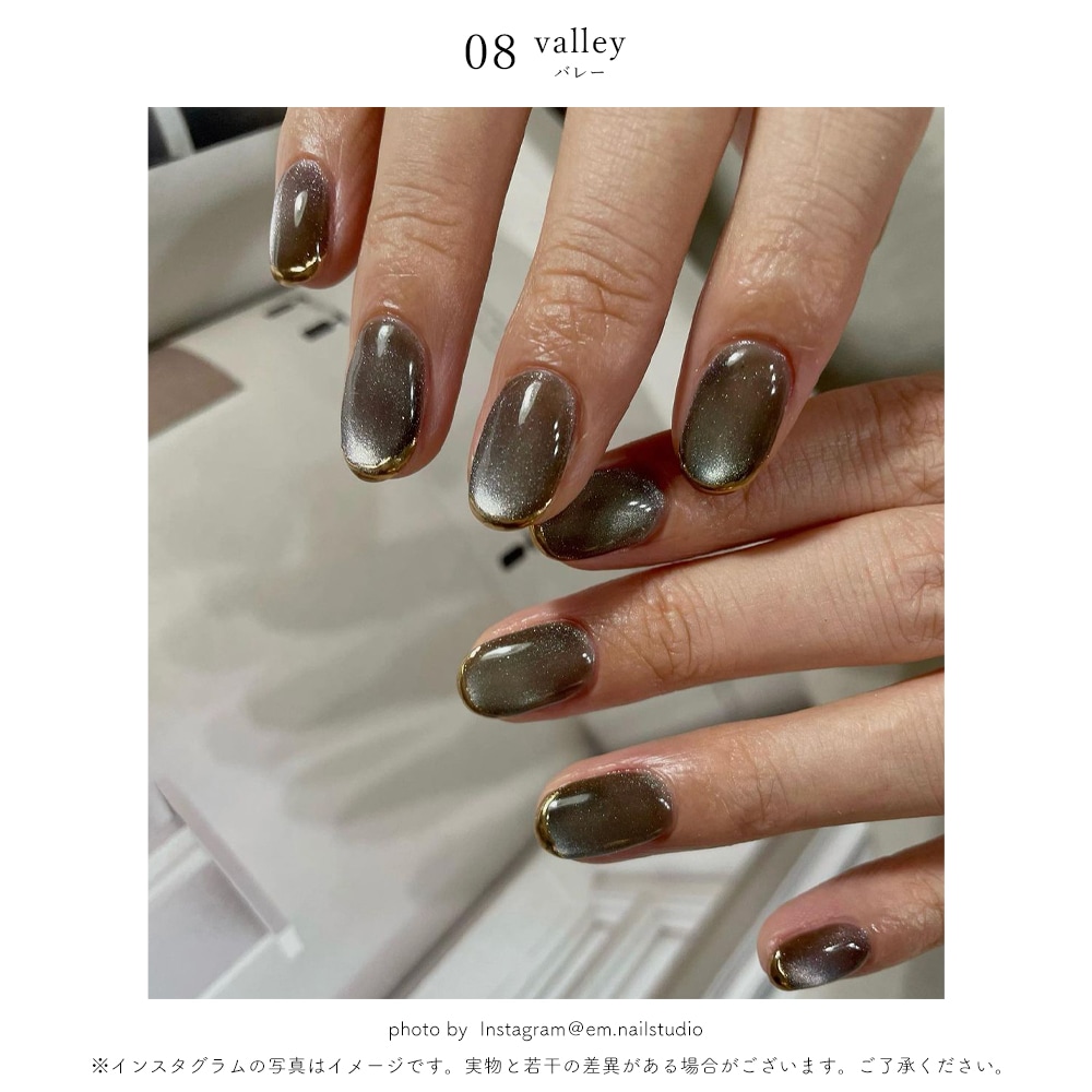 マグネットジェル38個 ココイスト グレースガーデン ネイルタウン