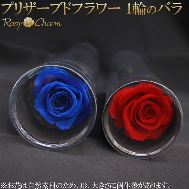 プリザーブドフラワー バラ一本｜クリアケース入り【中輪