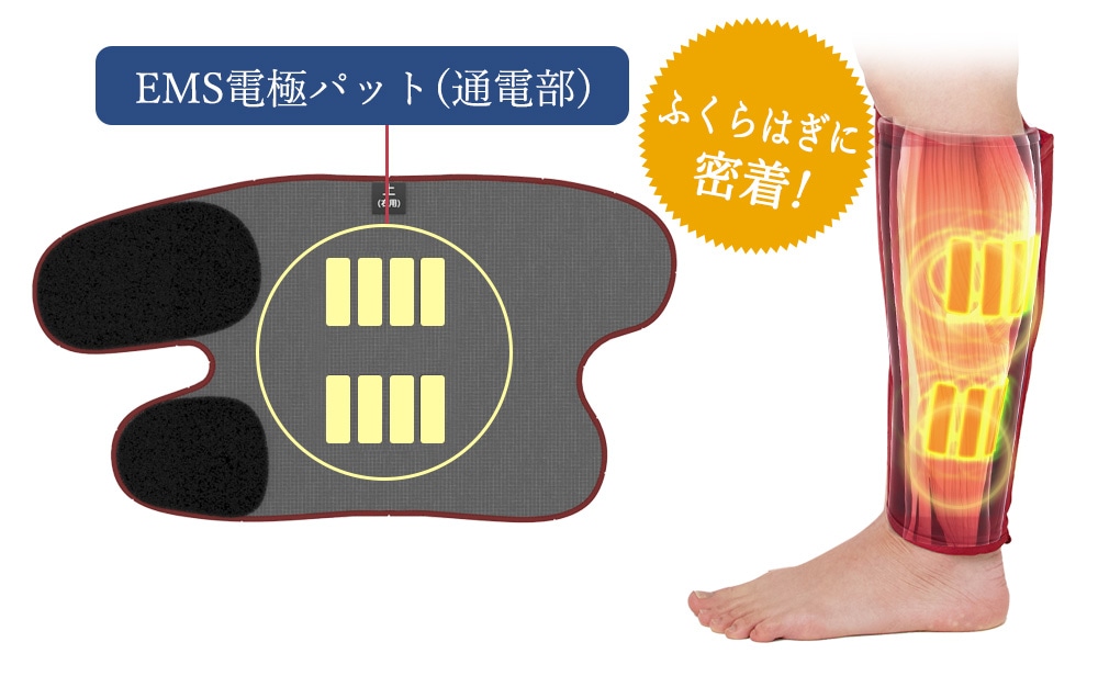 スタイリーレッグ SLL-100