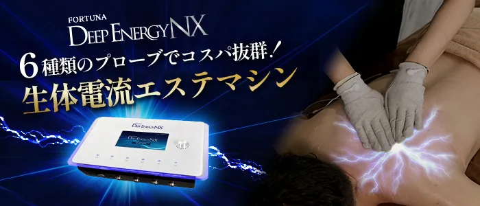 FORTUNA DEEP ENERGY Z | 痩身美容機器